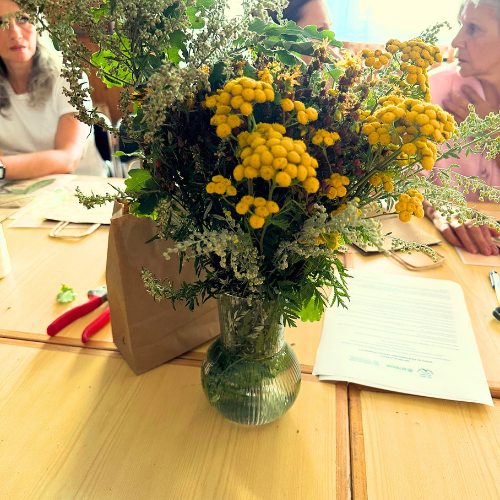 kalendarz zielarski w cyklach rocznych