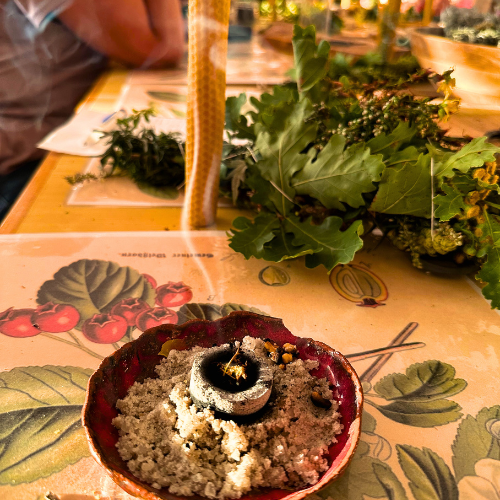 zioła i zabiegi lecznicze