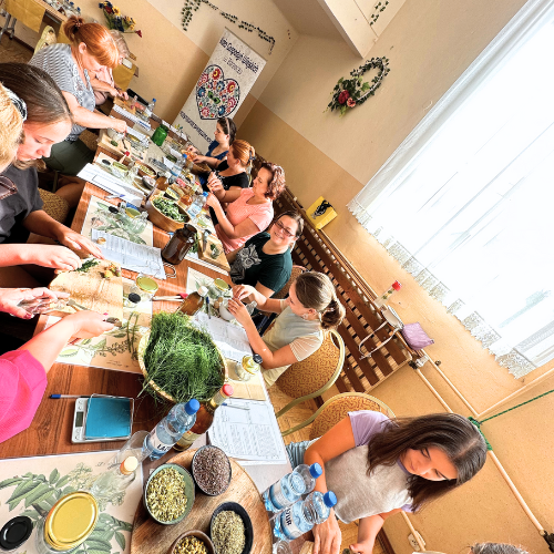 Z ziołami za pan brat