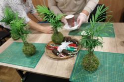 IMG-20251001-WA0009