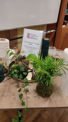 IMG-20251001-WA0081