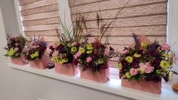 IMG-20251010-WA0008