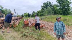 IMG_20260605_063634